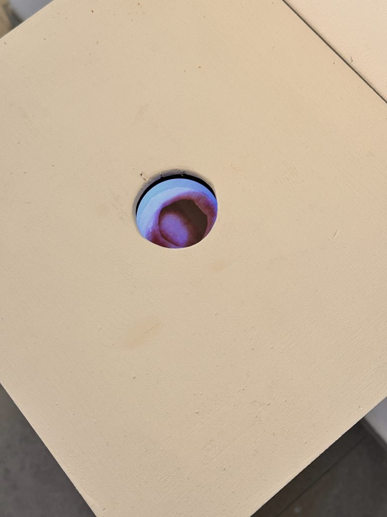 Sarah Lüdemann. 
Deep Throat, an exhibition organised by MOMENTUM